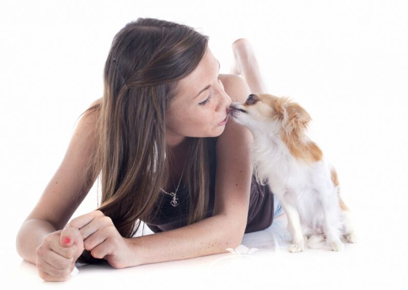 Beijar um cachorro é a causa de vermes e parasitas