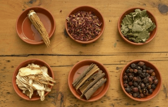Medicamentos para vermes